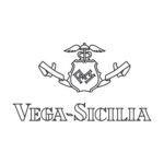 elvinodefran-Logo Tempos Vega Sicilia