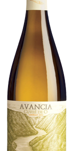 Avancia Cuvée de Ogodello – 75 cl