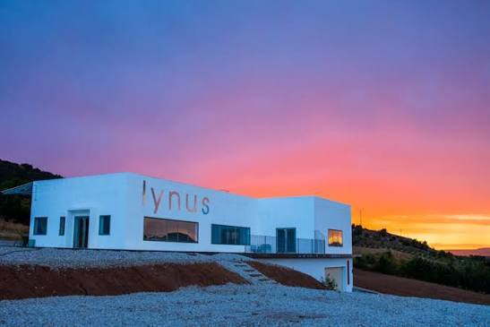Bodegas Lynus