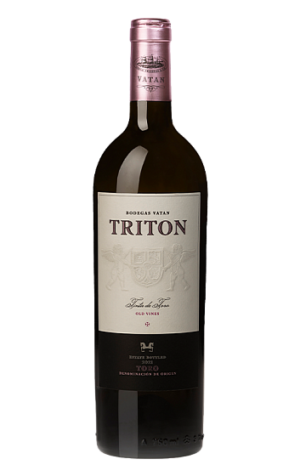 Tritón